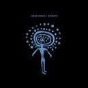 James Organ feat. Pablo:Rita - Secrets