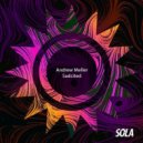 Andrew Meller - Keep Rocking