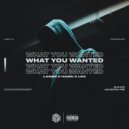 LANNy feat. Hawk, Leo - What You Wanted