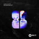 Dario D'Attis & Shyam P - Misleading