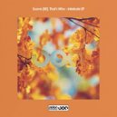 Suave (BE), That's Who - Minor Swing