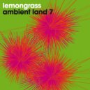 Lemongrass - Mindfulness