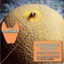 Sunglasses At Disko - Mental Journey (Original Mix)