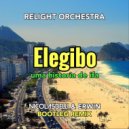 Relight Orchestra - Elegibo (Nicolas Belli & Erwin Remix Bootleg)