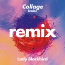 Lady Blackbird - Collage