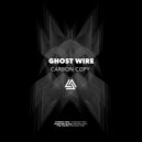 Ghost Wire - Phantom Tetra