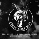 David Museen, Erik Christiansen, Pinco - Dubashe (Original Mix)