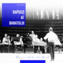 Lita Baniciu - Zopot, Saxofon