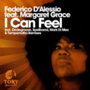 Federico d\'Alessio, Margaret Grace - I Can Feel (Tempomatici Remix)