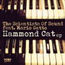 Mario Gatto, The Scientists Of Sound - Hammond Cat (Afro Mix)