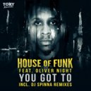 House of Funk - You Got To (Original Club Mix)