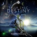 Talla 2Xlc - Destiny