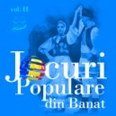 Ansamblul Timisul - Cucuruzul (Original Mix)