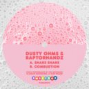 Dusty Ohms & RaptorHandz - Combustion