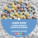 James Bless - Disco Biscuits