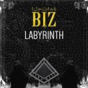 Biz - Amulet