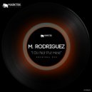 M. Rodriguez - I Do Not Put Here
