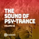 Recursion Loop - Impossible Landscape (Original Mix)