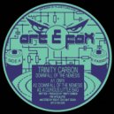 Trinity Carbon - A Curious Little Bag