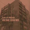 Slow Life Program - Voltage Sequence