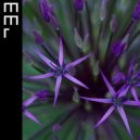 ORDA - Odds