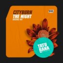 Cityburn - The Night