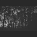 Homeomorphic - Luminar