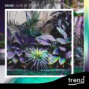 Brine - More than u know