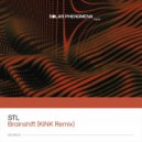 STL - Brainshift