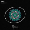 Siwell - Cruel Summer
