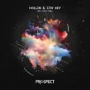 Hollen, Stiv Hey - Do You Feel
