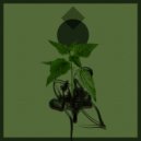 Ben R Brown - Transients (Original Mix)