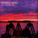 Ruimte Vogel - Sun King