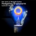 Sam Jones vs. Renegade System - Hedgehog Brainstorm (Icedream Mashup)