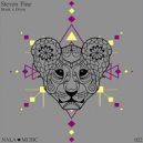 Steven Fine - Break it Down