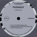 Pushguy - Into The Wind