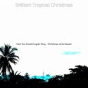 Brilliant Tropical Christmas - Christmas at the Beach Ding Dong Merrily on High ()