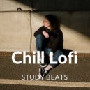 Chill Lofi Study Beats - Track 6