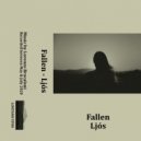 Fallen - Non un addio