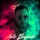 Arte Elegante - Se Puede