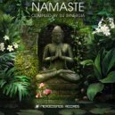 Blue Lotus feat. Sasha Niyazova - Moon Road