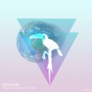 Ricardo Rocha Presents EIRA - Spatium (Original Mix)