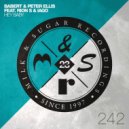 Babert & Peter Ellis Ft. Rion S & IAGO - Hey Baby