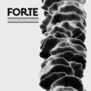 Expander - How Forte Are you (Shcuro Remix)