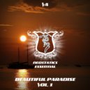 Andreshamano - Direct Way