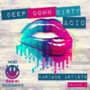 Chris Prole ft Daniela Rhodes - Ready 4 Your Acid Love (Original Mix)
