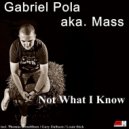 Gabriel Pola aka. Mass & Gary Dalhson - Not What I Know (Gary Dalhson Remix)