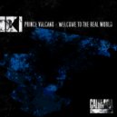 Prince Vulcano - Vertigo (Original Mix)