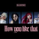 Blackpink,Moksi - How You Like That