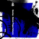Ravetop - Natural Plague Behavior (Spaecialista Kaos Remix)
